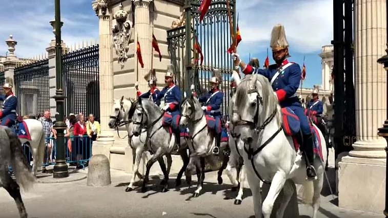 Excellent Rider Controls Agitated Horse At Changing of the Guard Ceremony
